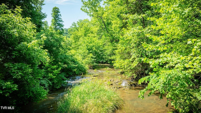 TBD Eb Hollow Rd, Eidson, TN 37731