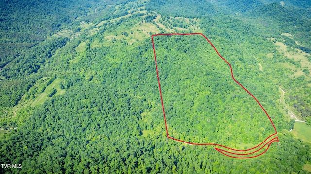 TBD Eb Hollow Rd, Eidson, TN 37731