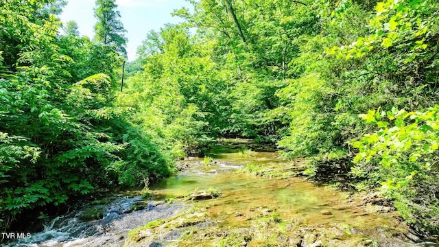 TBD Eb Hollow Rd, Eidson, TN 37731