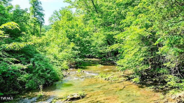 TBD Eb Hollow Rd, Eidson, TN 37731