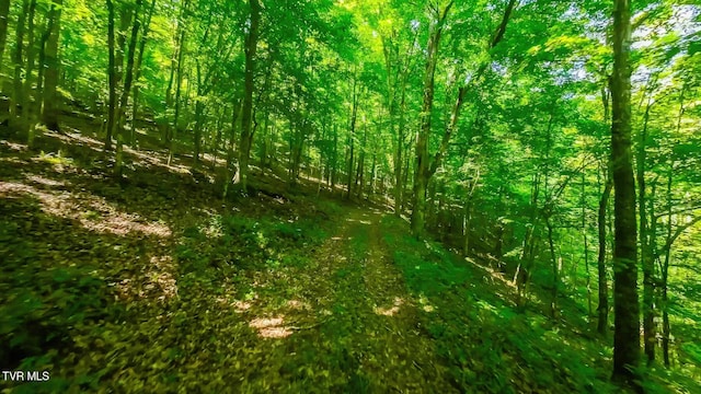 TBD Eb Hollow Rd, Eidson, TN 37731