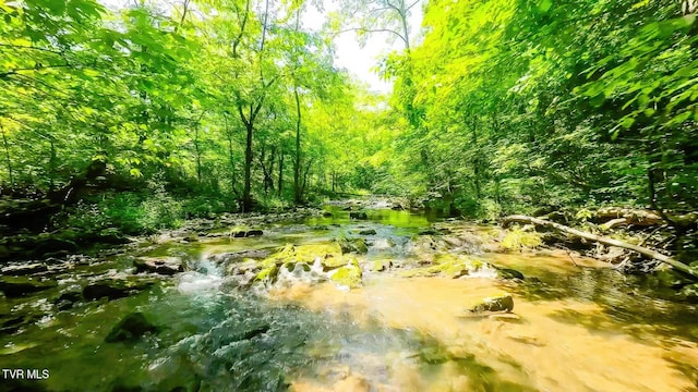 TBD Eb Hollow Rd, Eidson, TN 37731