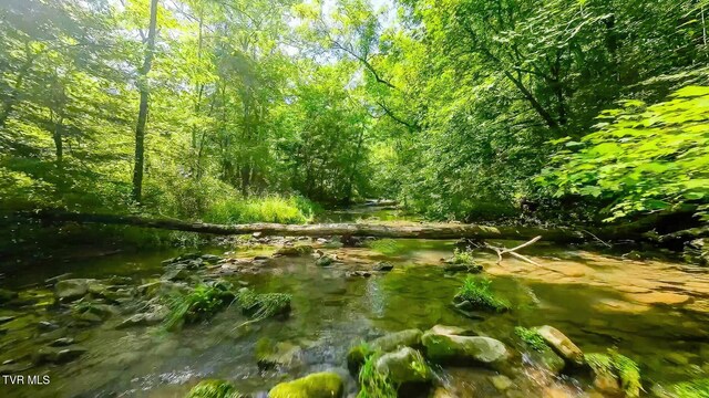 TBD Eb Hollow Rd, Eidson, TN 37731