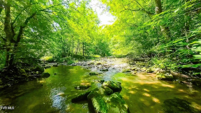 TBD Eb Hollow Rd, Eidson, TN 37731