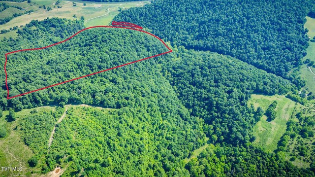 TBD Eb Hollow Rd, Eidson, TN 37731