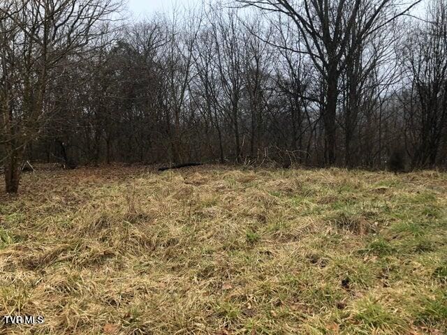 850 Meadow View Rd, Bristol, TN 37620