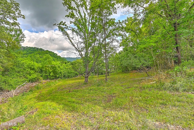 850 Meadow View Rd, Bristol, TN 37620