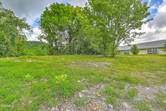 850 Meadow View Rd, Bristol, TN 37620