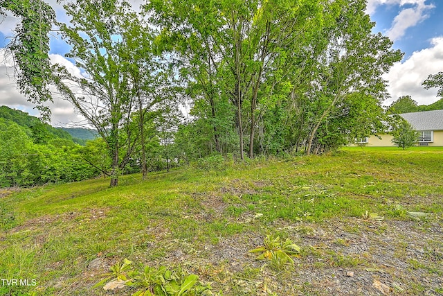 850 Meadow View Rd, Bristol, TN 37620