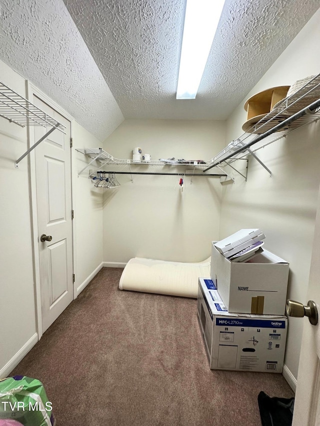 210 Spring St Unit C3, Blountville, TN 37617 - spacious closet featuring carpet