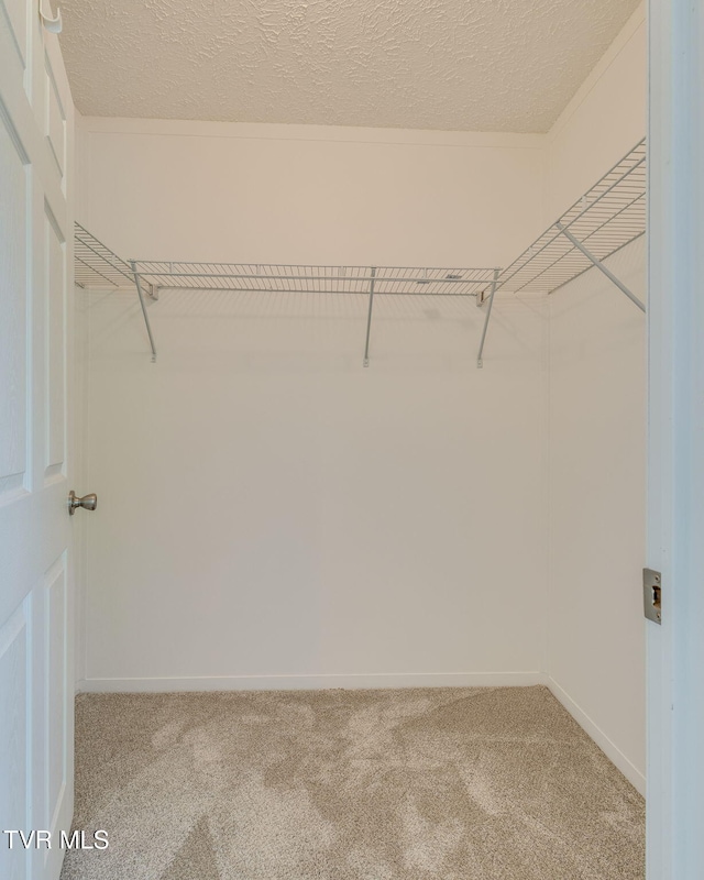 108 Richards Rd, Rogersville, TN 37857 - walk in closet with light carpet