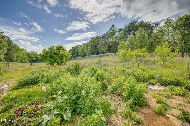 108 Richards Rd, Rogersville, TN 37857 - view of yard with a rural view
