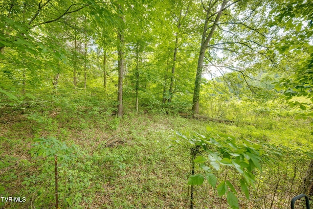 108 Richards Rd, Rogersville, TN 37857 - view of tree filled area