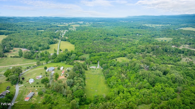 108 Richards Rd, Rogersville, TN 37857 - view of property location with a forest and a mountain backdrop
