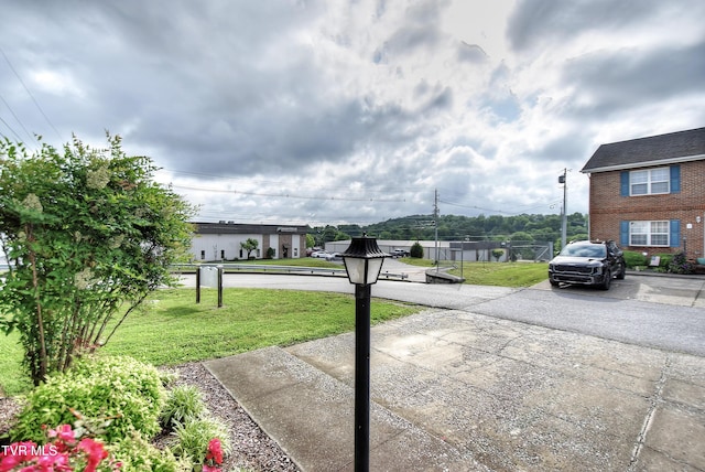 24 Lexington Ct Unit 6, Johnson City, TN 37615 - view of yard