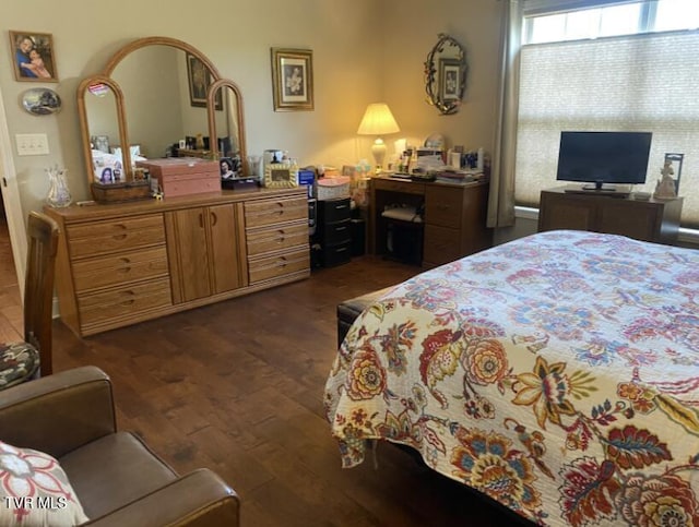 405 Coldwater Dr Unit 405, Johnson City, TN 37601 - bedroom featuring dark wood-style flooring