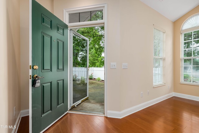 223 Avonlea Pl, Johnson City, TN 37604 - entryway featuring plenty of natural light, hardwood / wood-style flooring, baseboards, and lofted ceiling