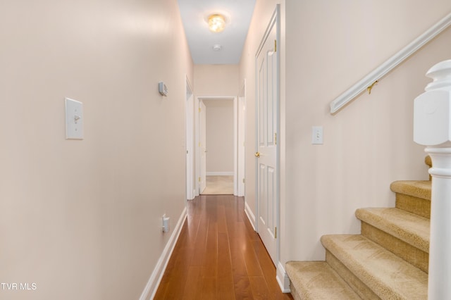 223 Avonlea Pl, Johnson City, TN 37604 - hall featuring stairway, wood finished floors, and baseboards