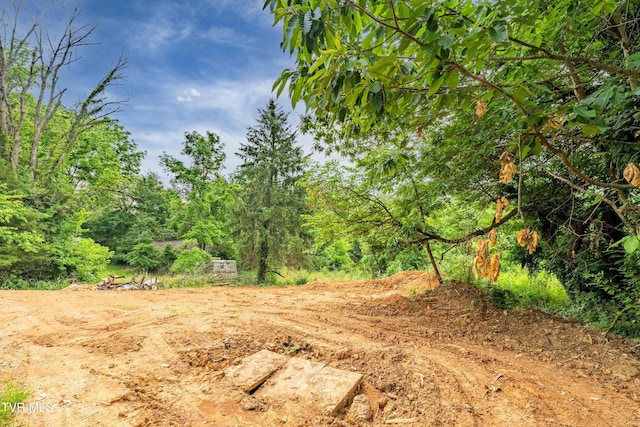 3313 Mckinley Rd, Johnson City, TN 37604 - view of undeveloped land