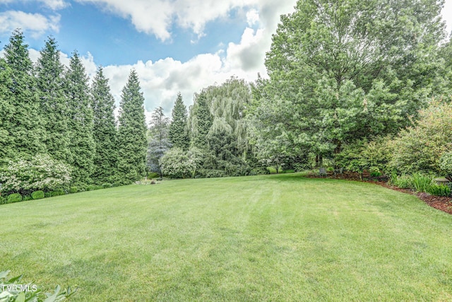 5621 John Gaines Blvd, Kingsport, TN 37664 - view of green lawn