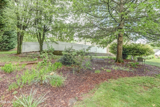 5621 John Gaines Blvd, Kingsport, TN 37664 - view of yard