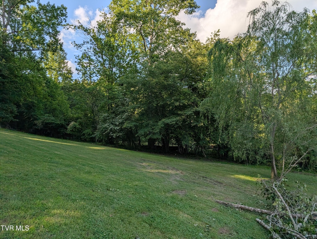TBD Hilton Rd, Gate City, VA 24251