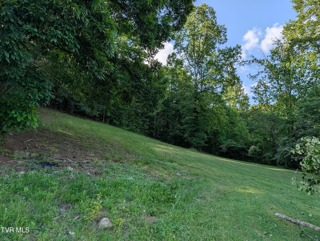 TBD Hilton Rd, Gate City, VA 24251