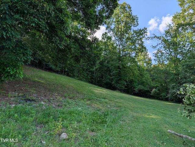 TBD Hilton Rd, Gate City, VA 24251