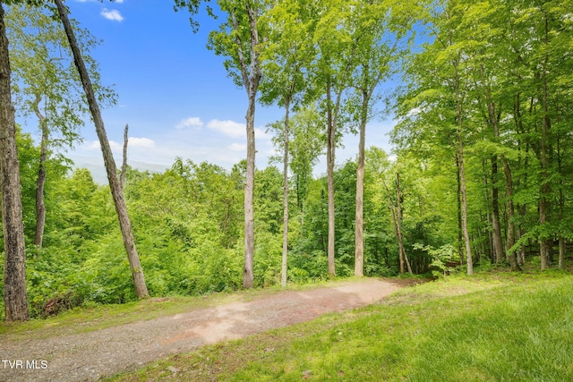 438 Willow Springs Rd, Elizabethton, TN 37643 - photo 33
