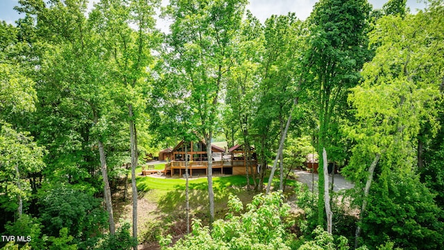 438 Willow Springs Rd, Elizabethton, TN 37643 - photo 40