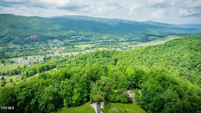 438 Willow Springs Rd, Elizabethton, TN 37643 - photo 41