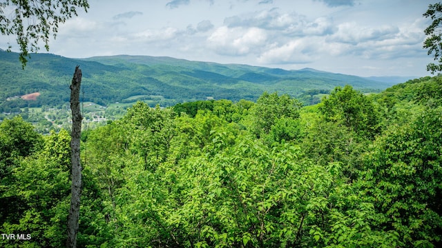 438 Willow Springs Rd, Elizabethton, TN 37643 - photo 46