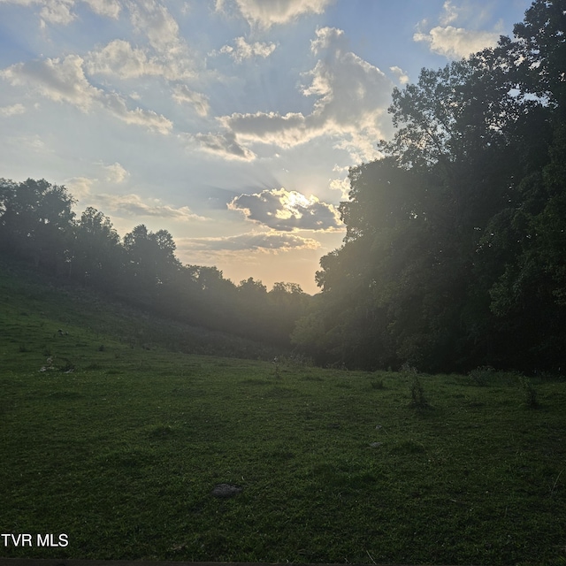 438 Willow Springs Rd, Elizabethton, TN 37643 - photo 148