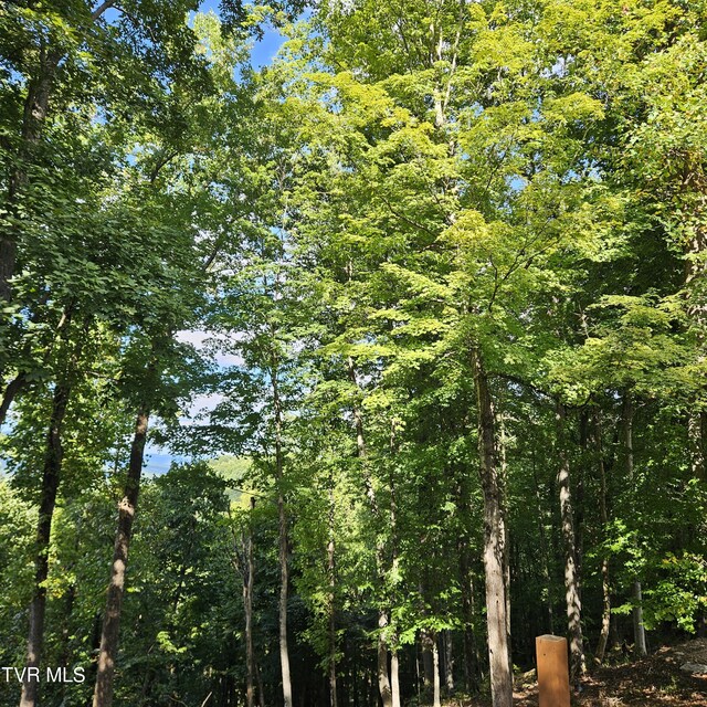 438 Willow Springs Rd, Elizabethton, TN 37643 - photo 149