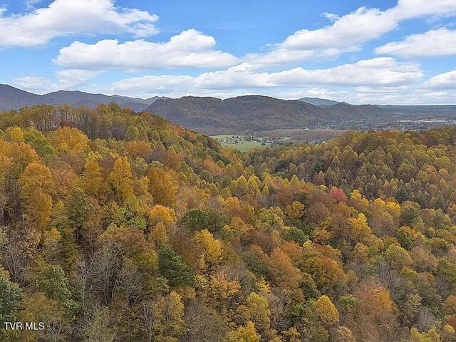 438 Willow Springs Rd, Elizabethton, TN 37643 - photo 154
