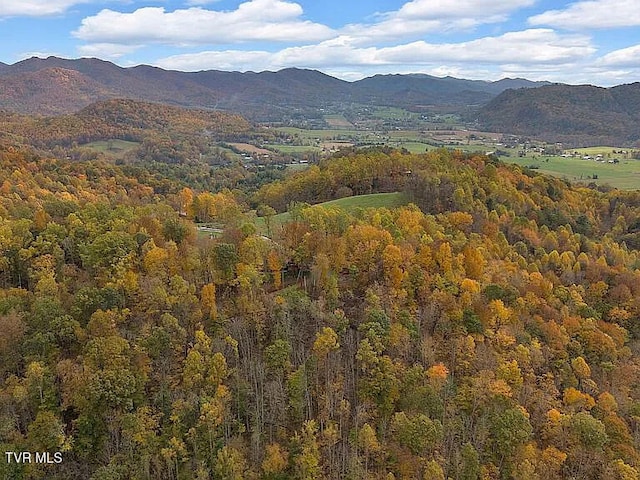 438 Willow Springs Rd, Elizabethton, TN 37643 - photo 157