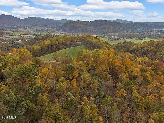 438 Willow Springs Rd, Elizabethton, TN 37643 - photo 161