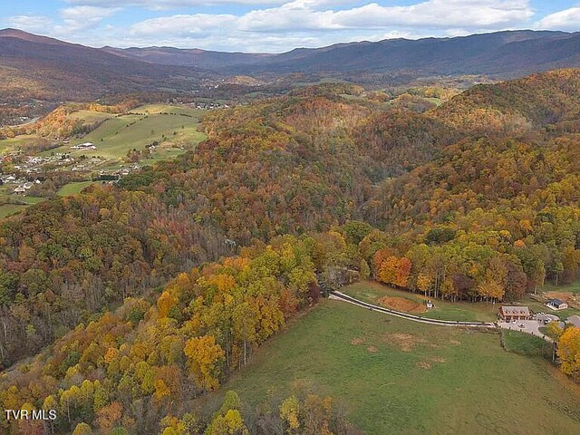 438 Willow Springs Rd, Elizabethton, TN 37643 - photo 164