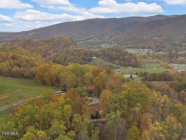 438 Willow Springs Rd, Elizabethton, TN 37643 - photo 165
