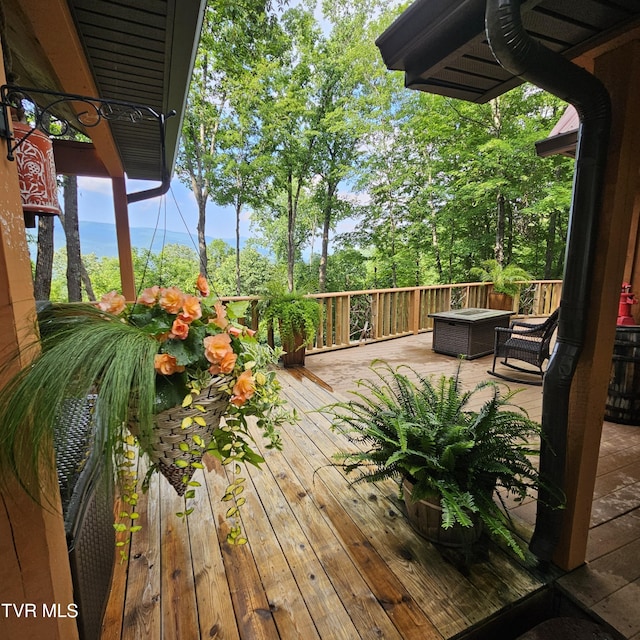 438 Willow Springs Rd, Elizabethton, TN 37643 - photo 5