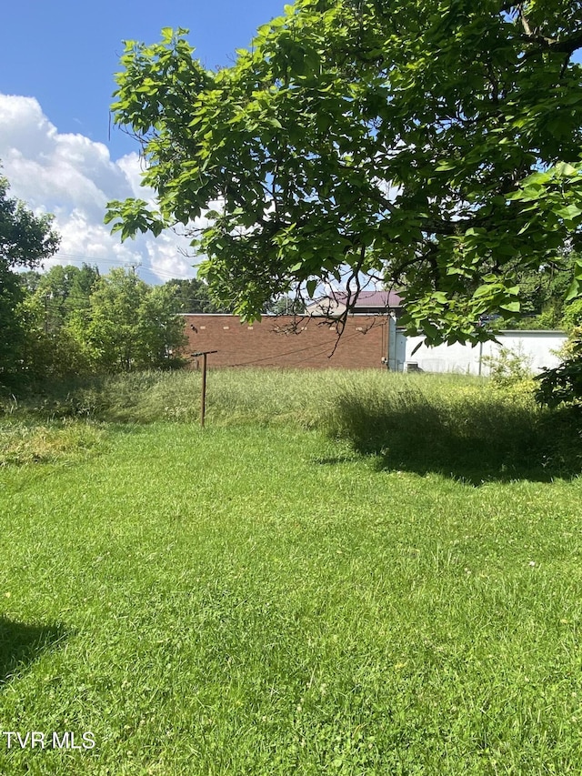4228 Sullivan Gardens Dr, Kingsport, TN 37660 - view of yard