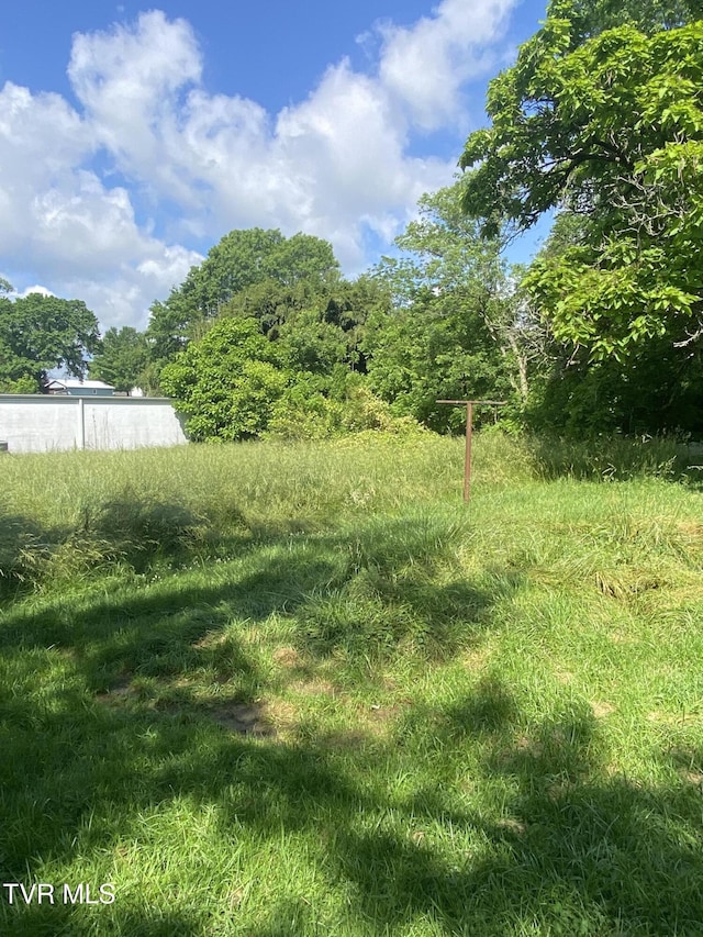 4228 Sullivan Gardens Dr, Kingsport, TN 37660 - view of yard
