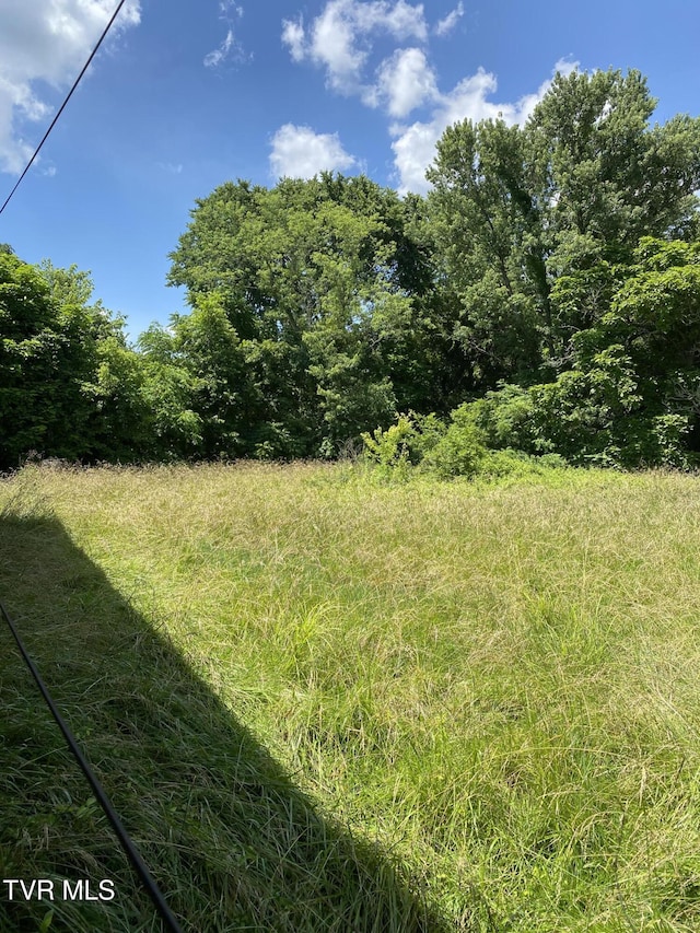 4228 Sullivan Gardens Dr, Kingsport, TN 37660 - view of yard