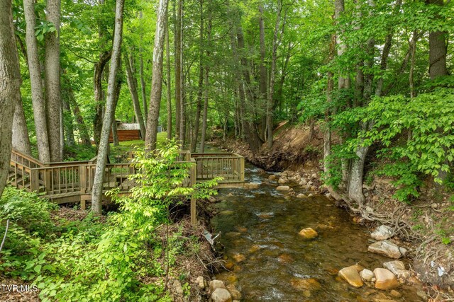 1867 Gentry Creek Rd, Laurel Bloomery, TN 37680 - photo 39