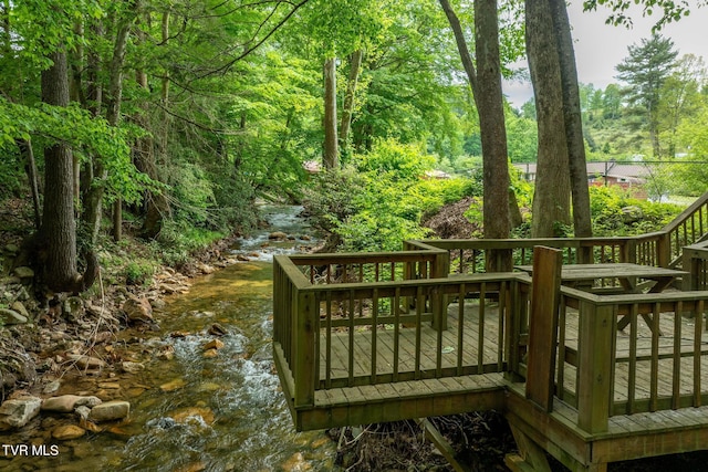 1867 Gentry Creek Rd, Laurel Bloomery, TN 37680 - photo 41