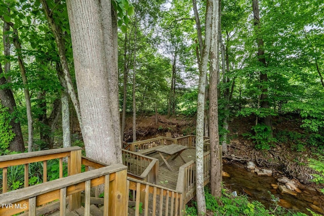 1867 Gentry Creek Rd, Laurel Bloomery, TN 37680 - photo 38