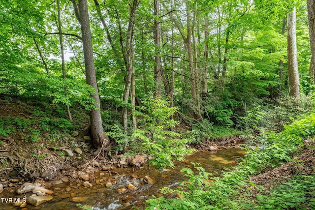 1867 Gentry Creek Rd, Laurel Bloomery, TN 37680 - photo 43
