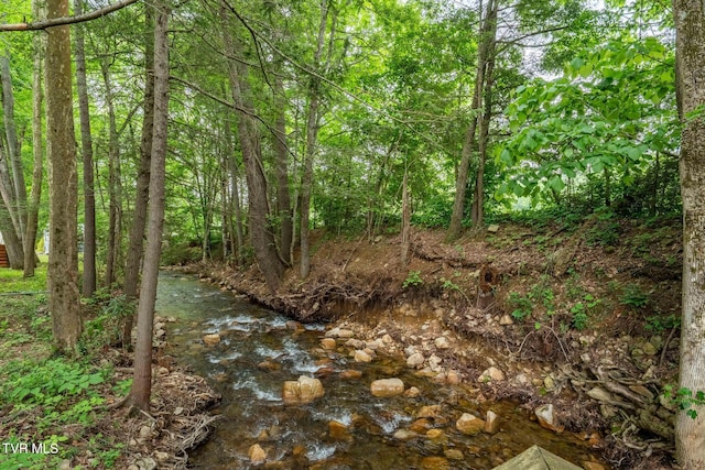1867 Gentry Creek Rd, Laurel Bloomery, TN 37680 - photo 44