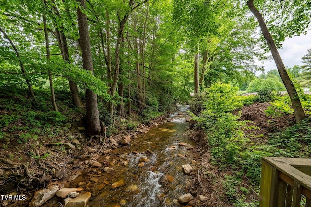 1867 Gentry Creek Rd, Laurel Bloomery, TN 37680 - photo 42