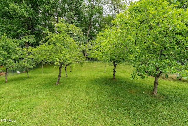 1867 Gentry Creek Rd, Laurel Bloomery, TN 37680 - photo 33